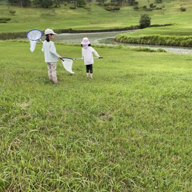 いつまでも下の子が幼く見えてしまう意外なワケ