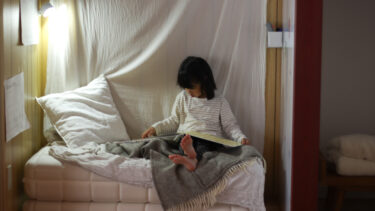 レールを敷くのではなく、ガードレールになる