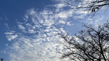 「ポジショントーク」をポジティブに再定義する