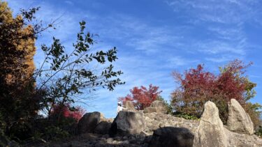 年末は“締め”ではなく“通過点”、すること・しないことの選び方